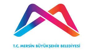 Cumhurbaşlığı Data Modem T meski