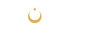 turk altin